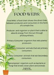 Exploring Ecosystem Food Webs (Geography) as PDF - Knowunity