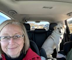 Happy Gotcha Day to Marley aka Topanga!