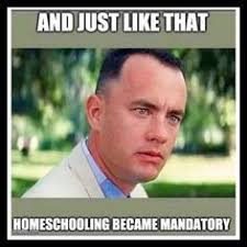 25 Funny Homeschool Memes 2020 Remote Learning Laughs Homeschool Memes Homeschool Humor Homeschool Quotes