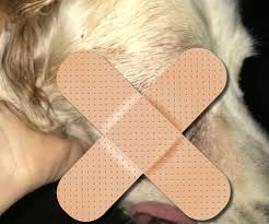 For Dogs - McDowell's Herbal Treatments