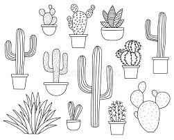 Acuarela cactus clipart floral clipart abstract cactus clipart cactus clipart boho clipart clipart clipart scrapbooking clibooking clipart print con the flower pots are included in this set. Image Result For Cactus Line Drawing How To Draw Hands Cactus Drawing Cactus Illustration