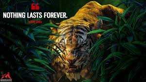 When mowgli returns to the jungle, there's the jungle book exceeded any expectations i may have had. The Jungle Book 2016 Quotes Magicalquote