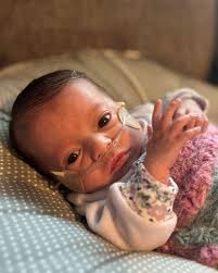 Amelia Lei Freeman Obituary December 9, 2024