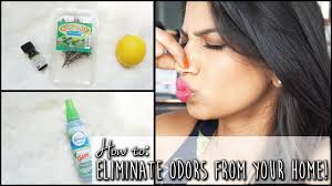 house smell good eliminate home odors