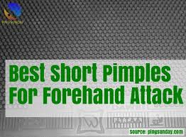 Top 8 Short Pimple Rubbers For Aggresive Style Pingsunday