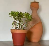 🌿 🍂Donnez vie à votre espace avec style🍂🌿