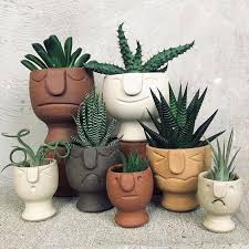 Saksi Modelleri Jardin Vertical Fachada Idees De Poterie Cactus Et Plantes Succulentes Deco Plantes Interieur