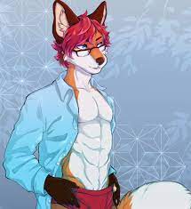 Gay furry fox