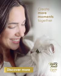 Exquisite recipes to delight your cat