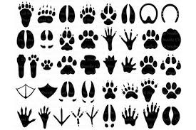 31 Animal Paw Svg Paw Prints Svg Files For Silhouette Cameo Etsy In 2020 Animal Tracks Paw Print Clip Art