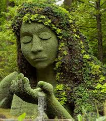 Growing and Thriving in the Summer Gardens of Hawai'i: A time of  unprecedented change.