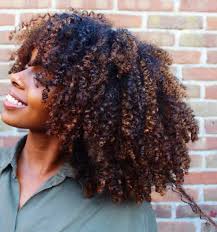 Highlighted Natural Curls Pinterest Baddiebecky21 Bex Natural Hair Styles Curly Hair Styles Dyed Natural Hair