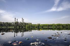 Direct causes of water pollution are those causes that change the quality of water almost immediately. What Are The Different Types Of Water Pollution Envirotech Online