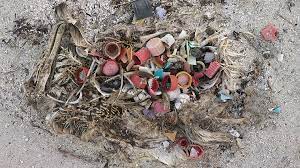 Jordan the hero as england beat new zealand in another super over. Chris Jordan Midway Parley