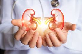 Secondary hyperparathyroidism (shpt) describes a complex alteration in bone and mineral because ∼ 40% of patients with diabetes develop nephropathy, diabetic patients alone will account u.s. Managing Diabetic Kidney Disease Diabetes Self Management