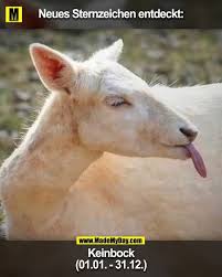 Neues Sternzeichen Entdeckt Keinbock 01 01 31 12 In 2020 Lustige Spruche Bilder Coole Spruche Bilder Lustig Humor