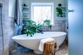 15 plantes grasses pour décorer votre intérieur. Purifiez Votre Salle De Bains Grace A 8 Plantes Depolluantes