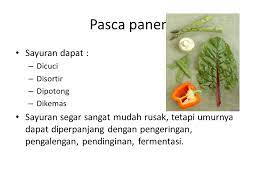 Check spelling or type a new query. Materi 8 Sifat Fisik Dan Biologi Buah Dan Sayuran Ppt Download