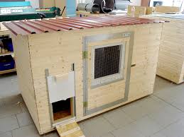 Mancher grundstücksbesitzer träumt von glücklichen hühnern und frischen, eigenen … vom hühnerstall in den auslauf gelangen die hühner durch eine klappe von etwa 40 x 40 cm, die ebenso wie auch der rest des stalls nachts. Https Xn Hhnerstall 9db De