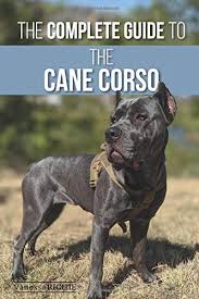 Cane corso italian mastiff is a good guard dog, protector, guardian of the farms, courtyards, and a lean, mean, clean mastiff breed. The Complete Guide To The Cane Corso Selecting Raising Training Socializing Living With And Loving Your New Cane Corso Dog Richie Vanessa 9781952069000 Amazon Com Books