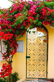45 Simple Fresh And Beautiful Front Yard Landscaping Ideas Dream Home Container Gardening Garden Ideas Container Garden Gates Garden Design Bougainvillea