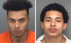 Police: Uber driver in critical condition after brothers beat him