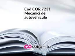 Tehnicieni si alti specialisti din domeniul tehnic. Cod Cor 7233 Mecanici De Masini Agricole Si Industriale