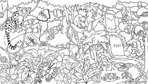 Here's why it's such a rarity. Amazon Rainforest Coloring Pages With Animals Coloring4free Coloring4free Com