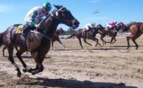 Our capacity is over 100 saddles per month and 500 blankets. Palermo Hippodrome Horse Racing Buenostours