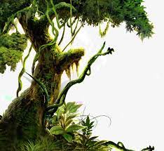 Jungle Tree Png 100 Images In Collection Page 1 Jungle Tree Image Jungle