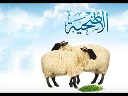 الزيادة في الاضحية وهي ما ذكرها المؤلف ربنا تقبل لما ذكرها المؤلف قال فلا بأس بذلك. Ù…Ø§ Ù‡Ùˆ Ø§Ù„Ø¯Ø¹Ø§Ø¡ Ø§Ù„Ø°ÙŠ ÙŠÙ‚Ø§Ù„ Ø¹Ù†Ø¯ Ø°Ø¨Ø­ Ø§Ù„Ø£Ø¶Ø­ÙŠØ© Youtube
