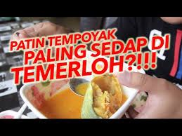 Bila sebut sahaja ikan patin masak tempoyak, sudah tentu ianya dikaitkan dengan negeri pahang. Patin Tempoyak Paling Sedap Di Temerloh Youtube
