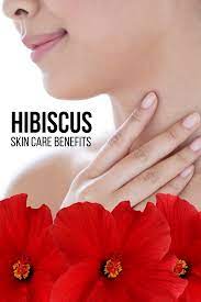 Meet Our Ingredients Organic Hibiscus Flower Extract Natural Skin Care Routine Skin Care Skin Healing