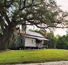 Police investigating drive-by shooting