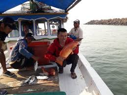 Umpan ikan mas yang selanjutnya selain cacing tanah yaitu serangga. P0wkjoyqzd1btm