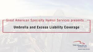 Risk underwriters is an internationally respected mga and underwriting manager representing. Great American Insurance Group Specialty Property Casualty Insurance