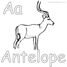 Large collection of free printable antelope coloring pages. Antelope Coloring Pages Pdf To Print Free Coloring Sheets