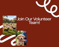 Volunteer Orientation — Welfare for Animals Guild