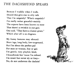 I Love Dachshunds Dachshund Dachshund Love Dachshund Dog