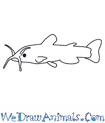We did not find results for: How To Draw A Catfish