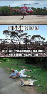 You Know You Re In Australia When You See Things Like This Australia Funny Australian Memes Australia