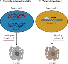 Check spelling or type a new query. Frontiers Therapeutic Landscape Of Malignant Pleural Mesothelioma Collateral Vulnerabilities And Evolutionary Dependencies In The Spotlight Oncology