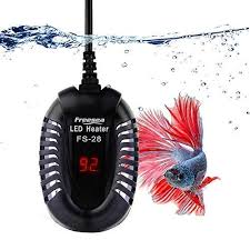 Whether betta fish need a filter or not depends on several factors including tank size, the level of care, tank mates, and more. Does A Betta Fish Need A Heater Aquarium Adviser