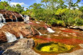 Visitamos la costa central de nayarit, donde el río al llegar a las playas, frente a la muuchatena, sendos arcos de flores, sobre paliacates extendidos en la arena. National Parks Pay The Price As Land Conflicts Intensify In Colombia
