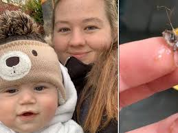 Mum calls for Aldi to recall baby food after finding 'hair-like' clump in  son's meal