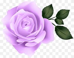 Pink hydrangeas bouquet, hydrangea cut flowers pink peach, hydrangea, purple, violet, color png. Hybrid Tea Rose Png Images Pngwing