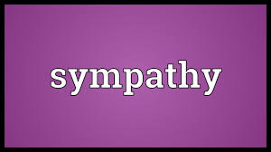 Sympathy Meaning Youtube