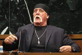 Stars don't understand wwe brotherhood. Hulk Hogan Absturz Einer Wrestling Legende Der Spiegel