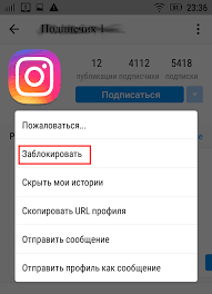 Kak Udalit Srazu Vseh Podpischikov V Instagram Spamguard