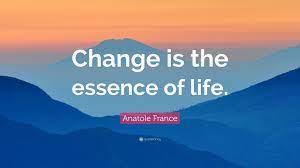 The essence of life is not in the great victories and grand failures, but in the simple joys. Anatole France Quote Change Is The Essence Of Life